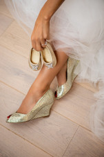 Carly Wedges Gold mesh