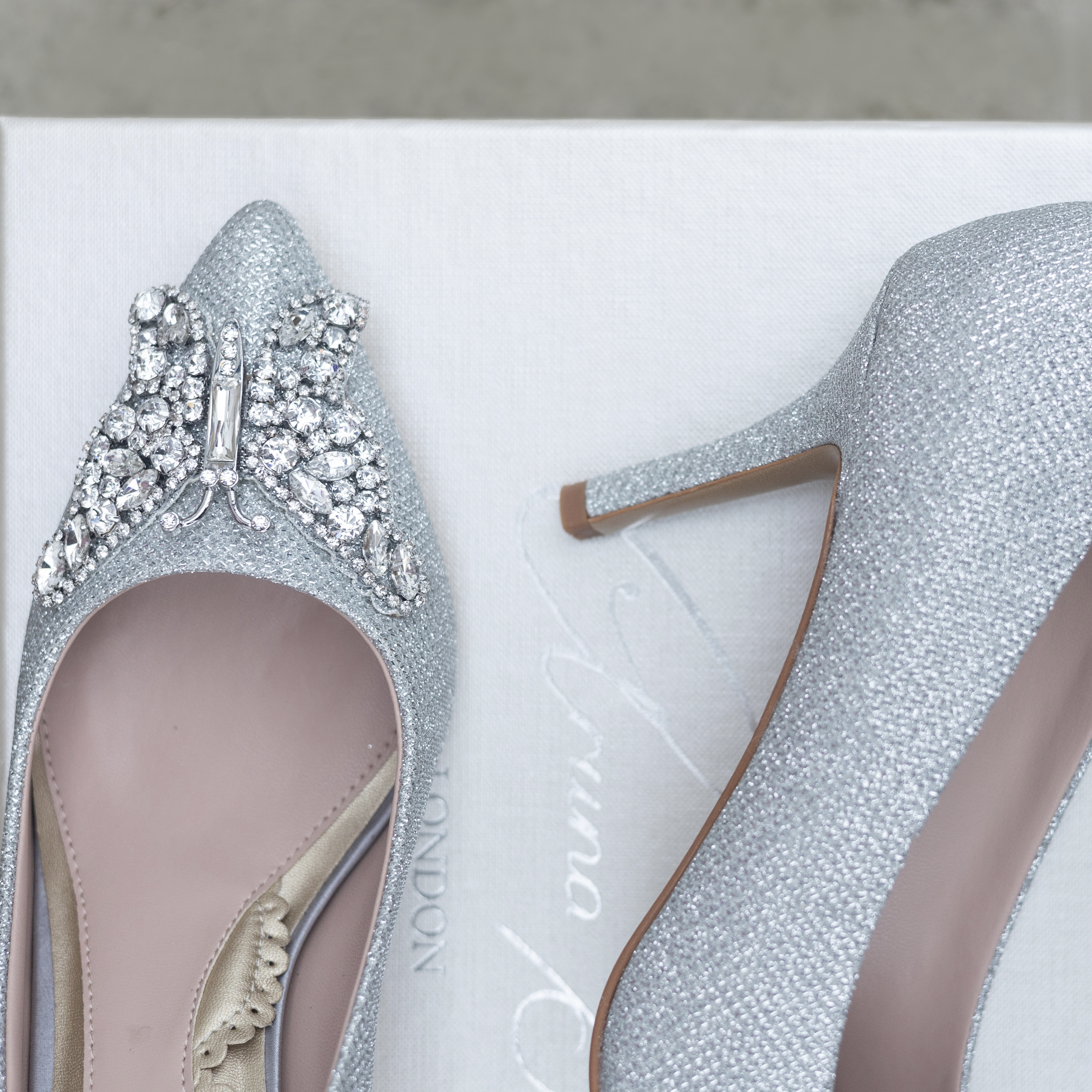Emilia Butterfly Silver Mesh