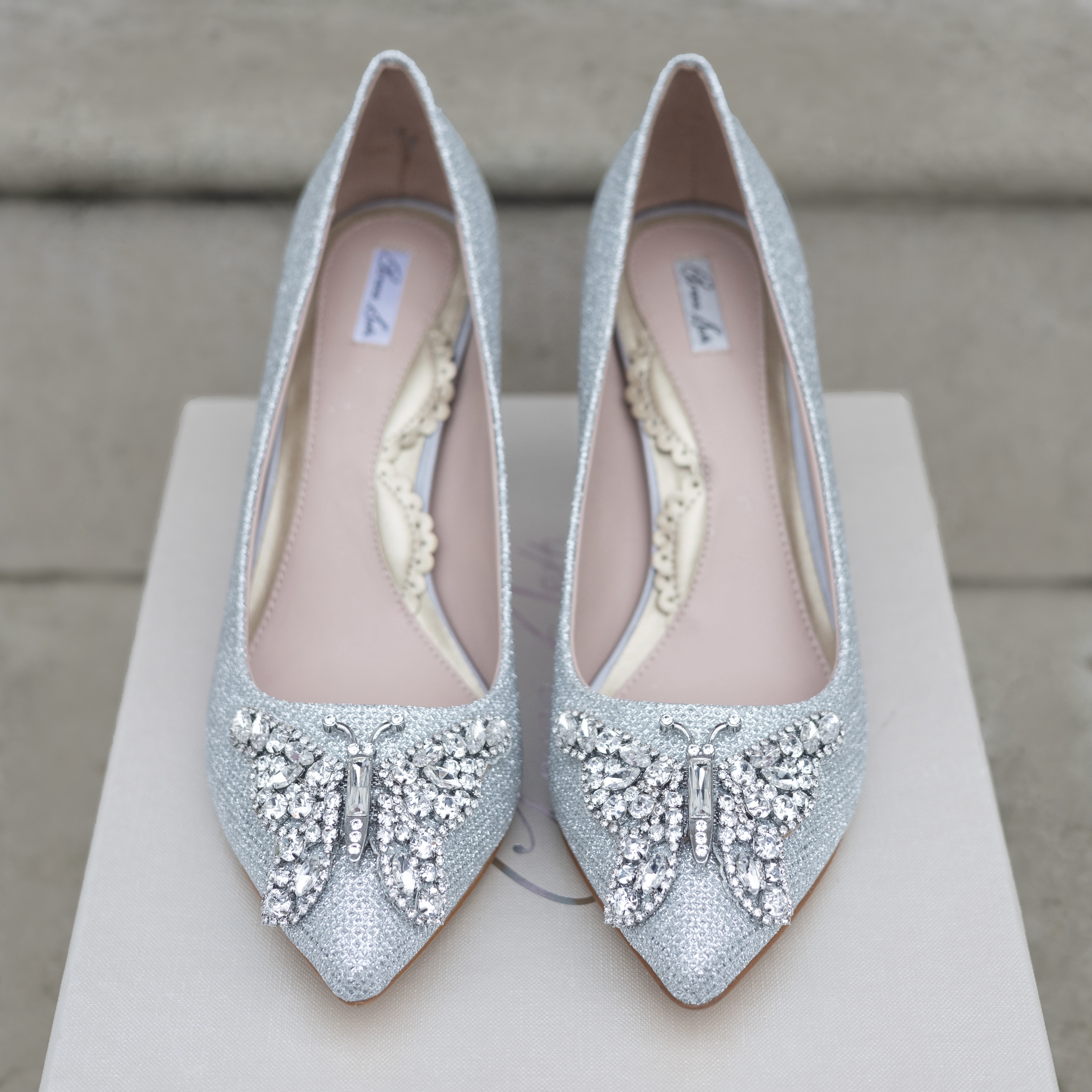 Emilia Butterfly Silver Mesh